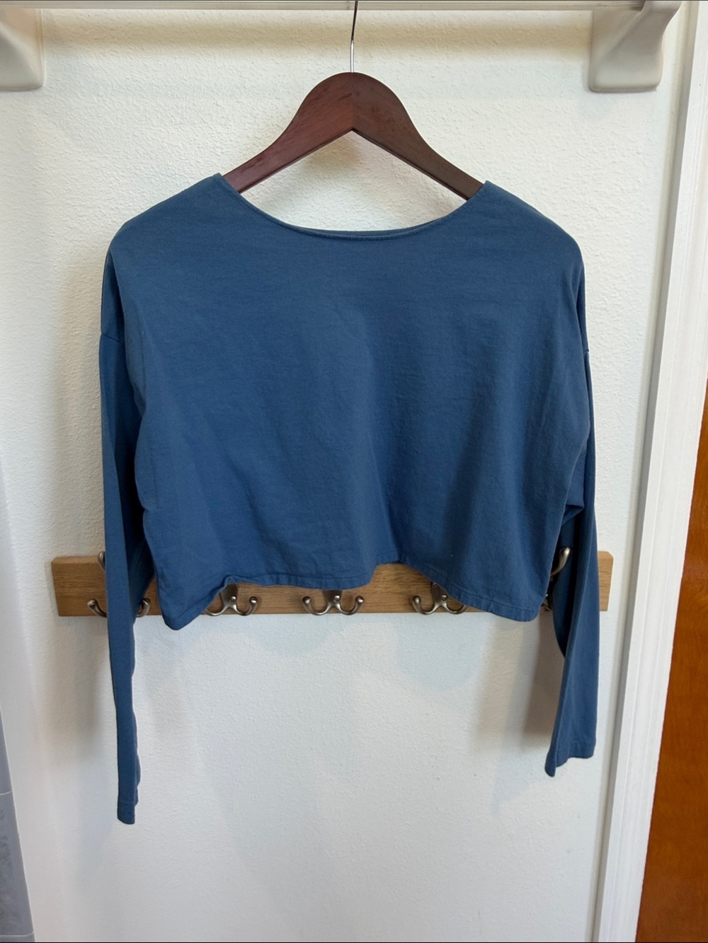 Jesse Kamm Blue Cropped Long-Sleeve Top